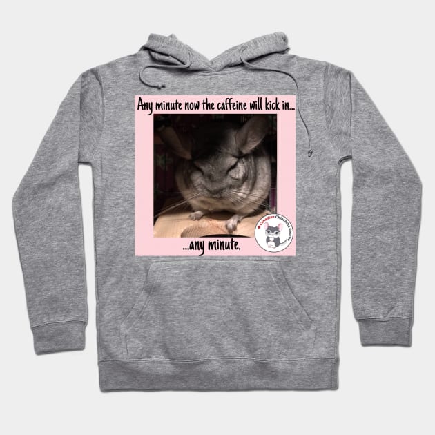 Chinchilla Thoughts Hoodie by canchinrescue